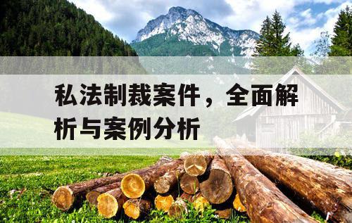 私法制裁案件，全面解析与案例分析