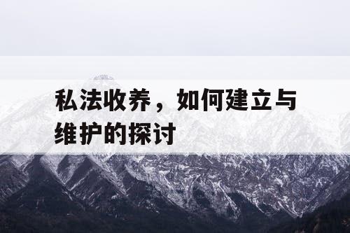私法收养，如何建立与维护的探讨