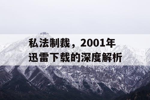 私法制裁，2001年迅雷下载的深度解析