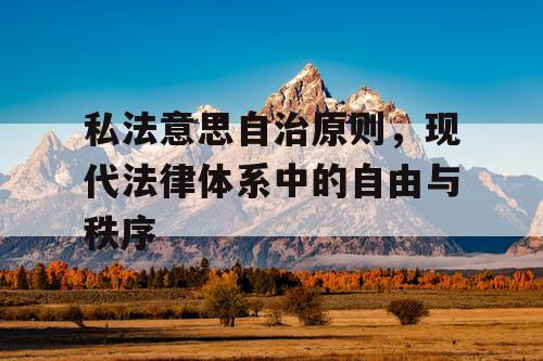 私法意思自治原则,现代法律体系中的自由与秩序 私法意思自治原则,现代法律体系中的自由与秩序
