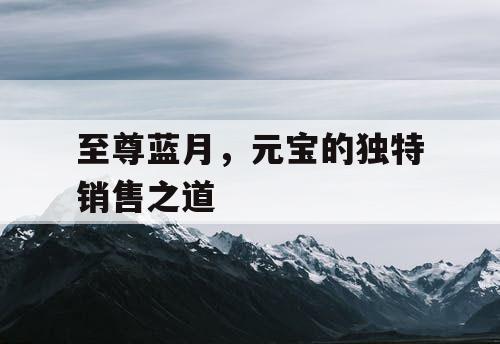 至尊蓝月,元宝的独特销售之道 至尊蓝月,元宝的独特销售之道