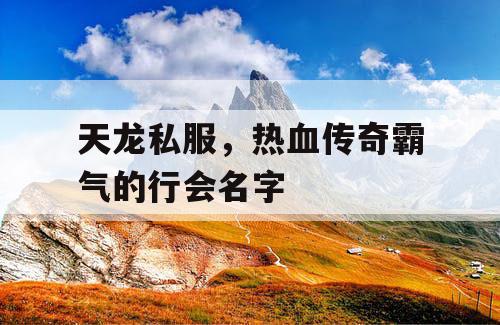 天龙私服，热血传奇霸气的行会名字