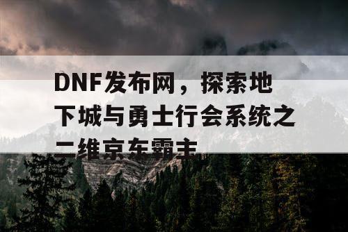 DNF发布网，探索地下城与勇士行会系统之二维京东霸主