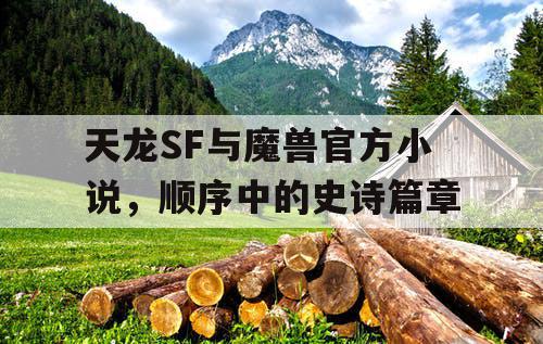 天龙SF与魔兽官方小说，顺序中的史诗篇章