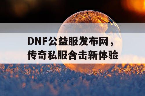 DNF公益服发布网，传奇私服合击新体验