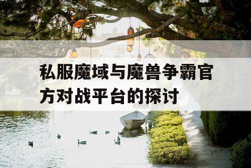 私服魔域与魔兽争霸官方对战平台的探讨