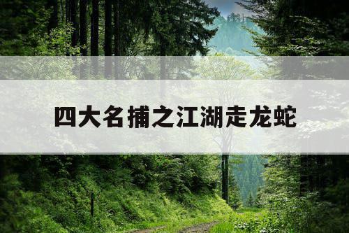 四大名捕之江湖走龙蛇