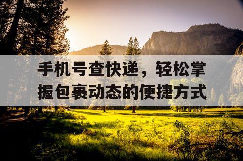 手机号查快递，轻松掌握包裹动态的便捷方式