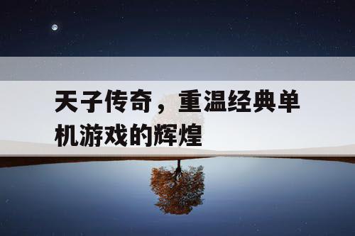 天子传奇，重温经典单机游戏的辉煌