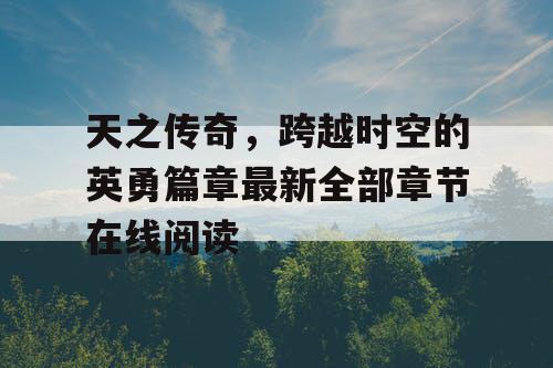 天之传奇，跨越时空的英勇篇章最新全部章节在线阅读