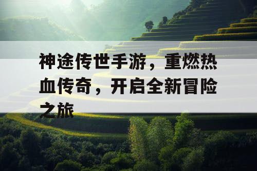 神途传世手游，重燃热血传奇，开启全新冒险之旅