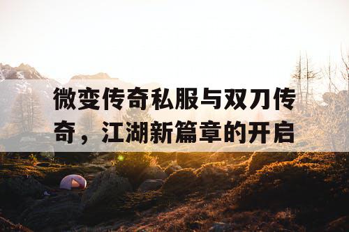 微变传奇私服与双刀传奇,江湖新篇章的开启 微变传奇私服与双刀传奇,江湖新篇章的开启