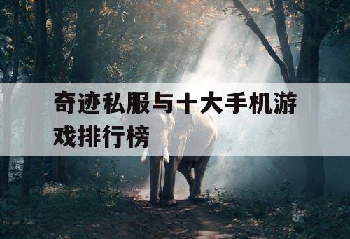 奇迹私服与十大手机游戏排行榜 奇迹私服与十大手机游戏排行榜