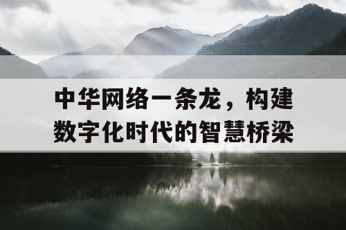 中华网络一条龙，构建数字化时代的智慧桥梁