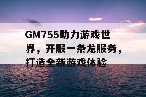 GM755助力游戏世界，开服一条龙服务，打造全新游戏体验