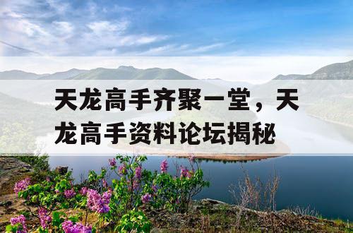 天龙高手齐聚一堂，天龙高手资料论坛揭秘