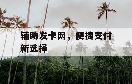 辅助发卡网，便捷支付新选择