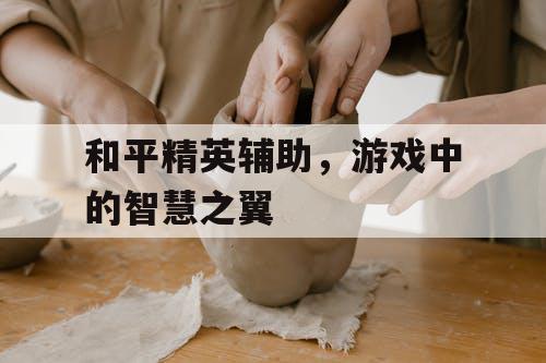 和平精英辅助，游戏中的智慧之翼
