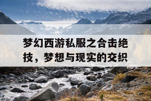 梦幻西游私服之合击绝技，梦想与现实的交织