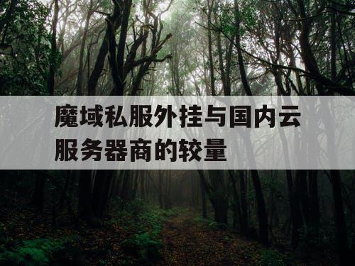魔域私服外挂与国内云服务器商的较量