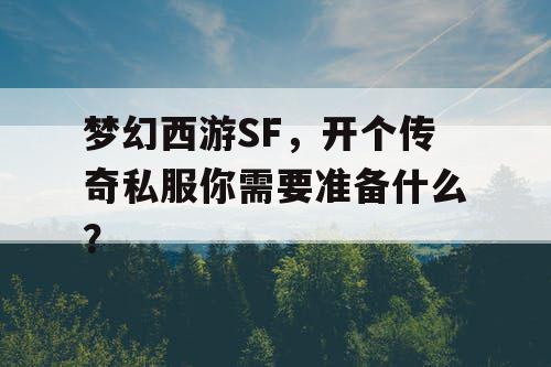 梦幻西游SF，开个传奇私服你需要准备什么？