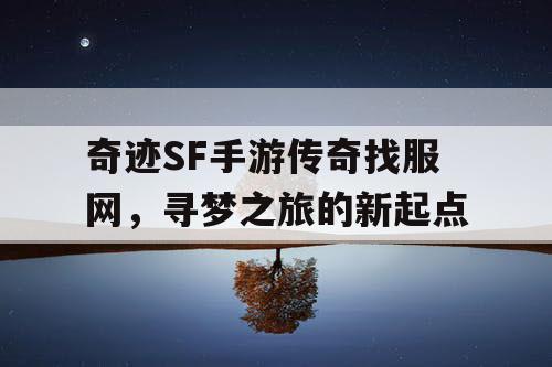 奇迹SF手游传奇找服网，寻梦之旅的新起点