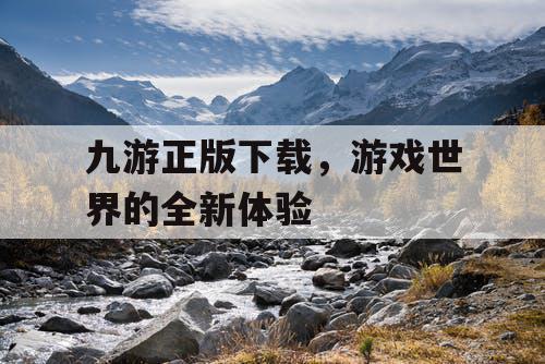 九游正版下载，游戏世界的全新体验