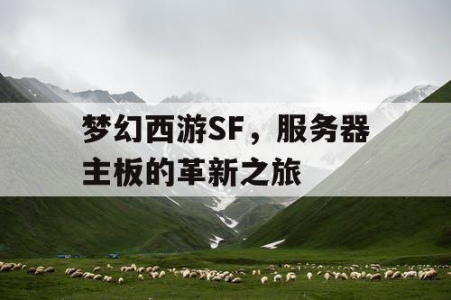梦幻西游SF，服务器主板的革新之旅