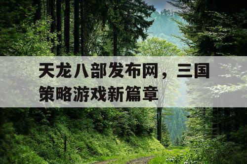天龙八部发布网，三国策略游戏新篇章
