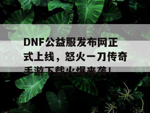 DNF公益服发布网正式上线，怒火一刀传奇手游下载火爆来袭！