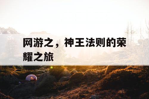 网游之，神王法则的荣耀之旅