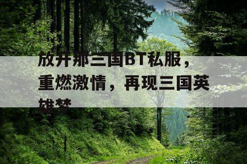 放开那三国BT私服，重燃激情，再现三国英雄梦