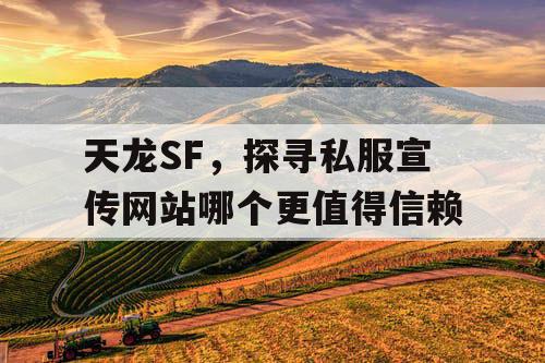 天龙SF，探寻私服宣传网站哪个更值得信赖