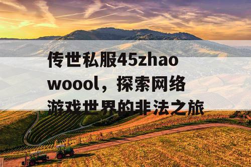 传世私服45zhaowoool，探索网络游戏世界的非法之旅