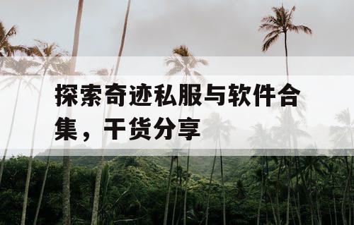 探索奇迹私服与软件合集，干货分享