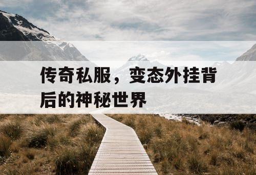 传奇私服，变态外挂背后的神秘世界