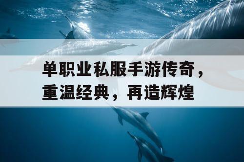 单职业私服手游传奇，重温经典，再造辉煌