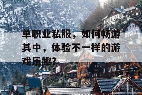 单职业私服，如何畅游其中，体验不一样的游戏乐趣？