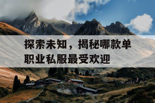 探索未知，揭秘哪款单职业私服最受欢迎
