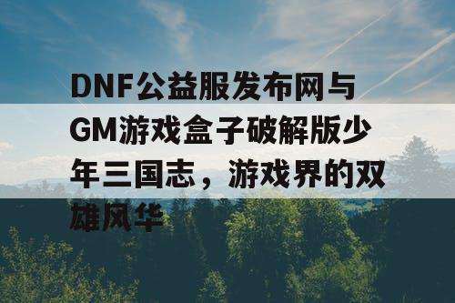 DNF公益服发布网与GM游戏盒子破解版少年三国志，游戏界的双雄风华