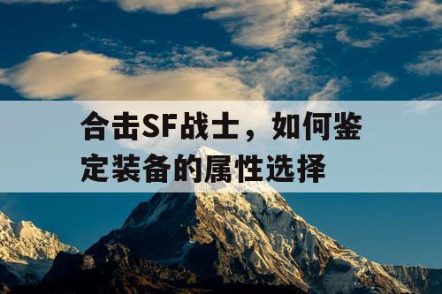 合击SF战士，如何鉴定装备的属性选择