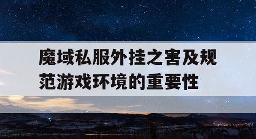 魔域私服外挂之害及规范游戏环境的重要性