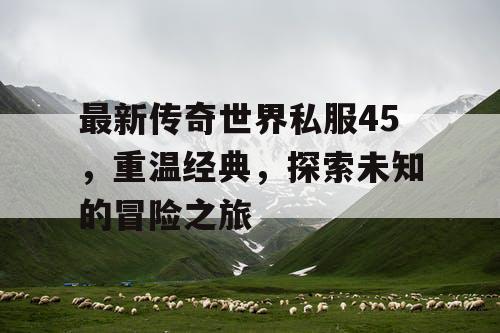 最新传奇世界私服45，重温经典，探索未知的冒险之旅