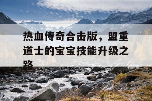 热血传奇合击版，盟重道士的宝宝技能升级之路