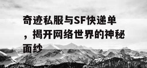 奇迹私服与SF快递单，揭开网络世界的神秘面纱