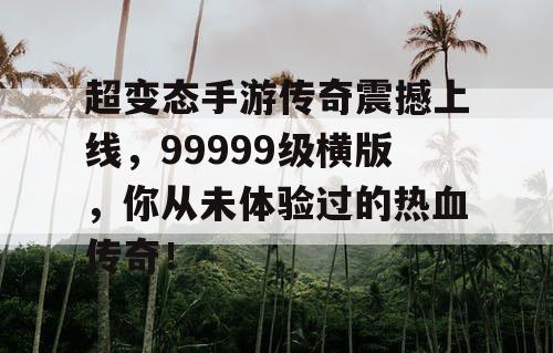 超变态手游传奇震撼上线，99999级横版，你从未体验过的热血传奇！