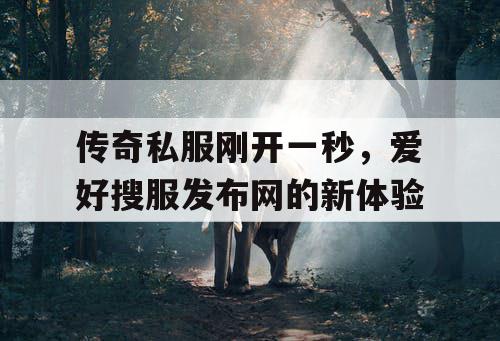 传奇私服刚开一秒，爱好搜服发布网的新体验