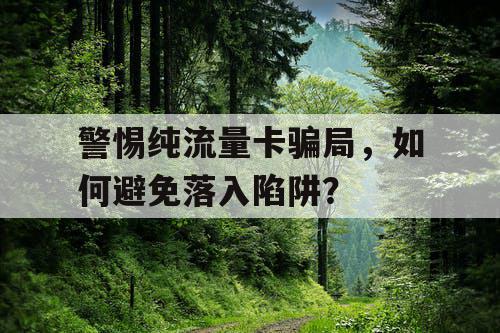 警惕纯流量卡骗局，如何避免落入陷阱？