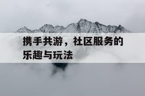 携手共游，社区服务的乐趣与玩法