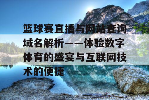 篮球赛直播与网站查询域名解析——体验数字体育的盛宴与互联网技术的便捷